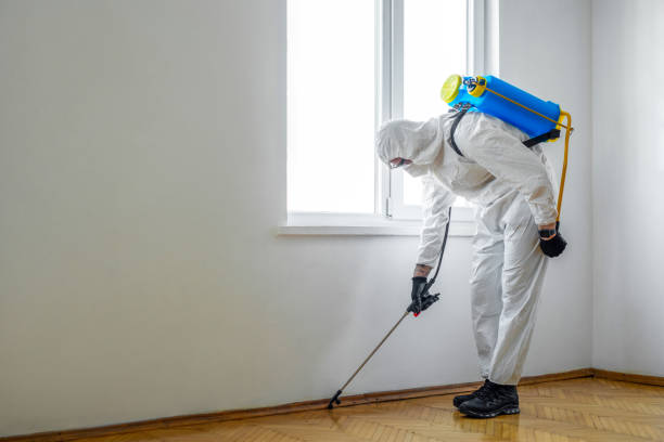 Best Exterminator Services  in Conrad, MT