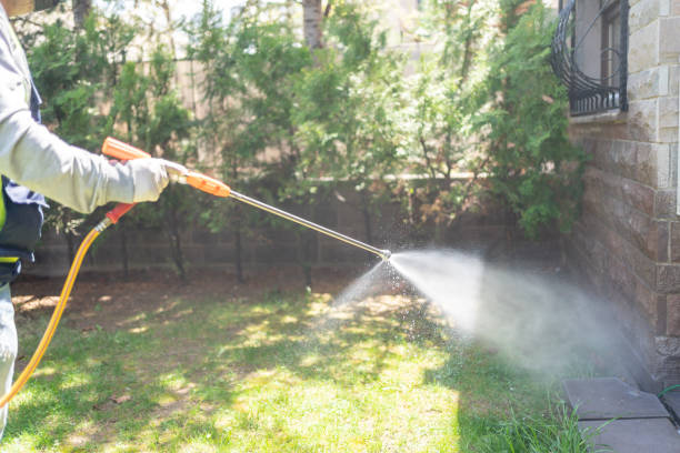 Best Mosquito Control Services  in Conrad, MT