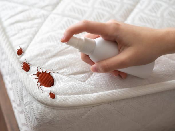 Best Affordable Pest Control Services  in Conrad, MT