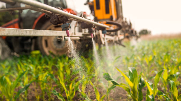 Best Mosquito Control Services  in Conrad, MT